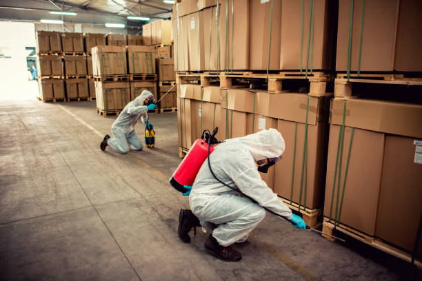 Best Rat Extermination Near Me  in Angola, IN