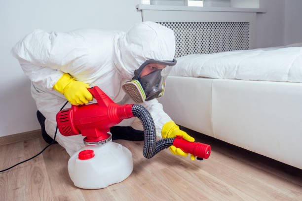 Flea Control Services in Angola, IN
