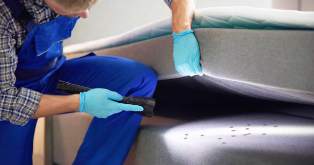 Best Flea Control Services  in Angola, IN