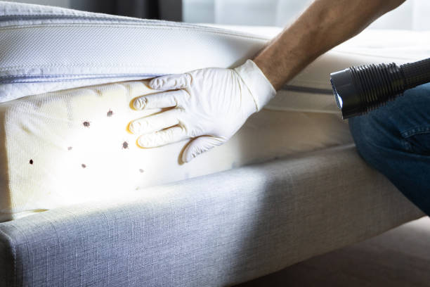 Best Pest Control for Restaurants  in Angola, IN